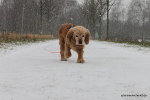 Molly_030
