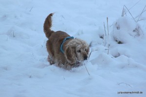 Molly_047