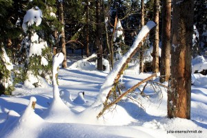 201701 Brocken 1