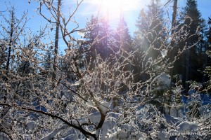 201701 Brocken 4