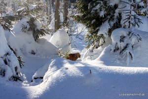 201701 Brocken 5