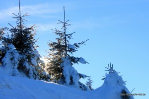 201701 Brocken 6