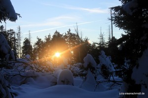 201701 Brocken 8