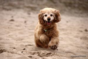 201703 Niedersachsentreffen 13