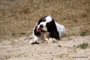 201703 Niedersachsentreffen 14