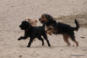 201703 Niedersachsentreffen 15