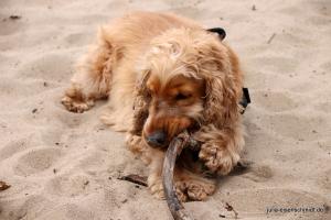 201703 Niedersachsentreffen 16