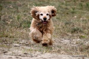 201703 Niedersachsentreffen 17