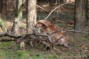 201703 Niedersachsentreffen 22