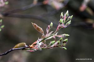 201704 Ostern 04