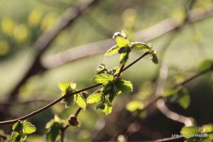 201704 Ostern 05