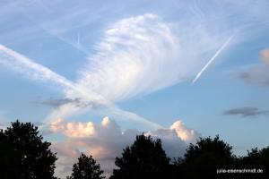 201707 Abendspaziergang 1