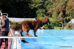 201709 Hundeschwimmen 07