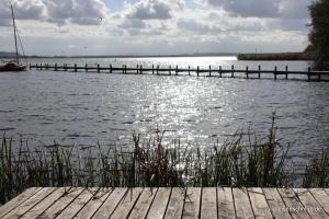 CockerOnTour SteinhuderMeer 05