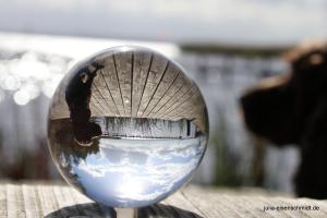 CockerOnTour SteinhuderMeer 07