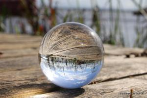 CockerOnTour SteinhuderMeer 09