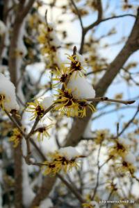 20180204 Schneespaziergang 01