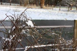 20180204 Schneespaziergang 02
