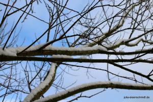 20180204 Schneespaziergang 03