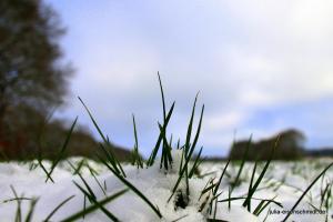 20180204 Schneespaziergang 04
