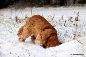 20180204 Schneespaziergang 05