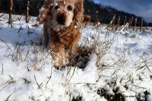 20180204 Schneespaziergang 07