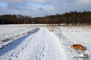 20180204 Schneespaziergang 09