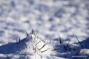 20180204 Schneespaziergang 10