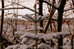 20180204 Schneespaziergang 12