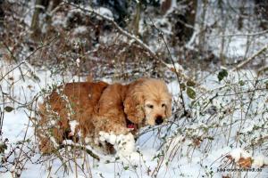 20180204 Schneespaziergang 13