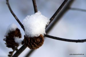 20180204 Schneespaziergang 14