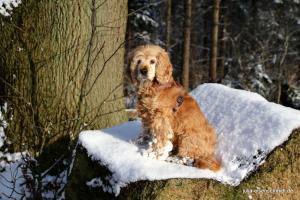 20180204 Schneespaziergang 15