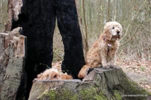 20180408 Ruhrpottmaedels 1