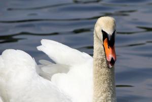 201805 Baldeneysee 06