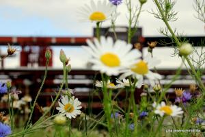 201806 Zollverein 3