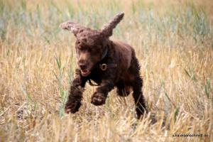 201807 CoT Meyenburg 08