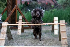 201807 CoT Meyenburg 09