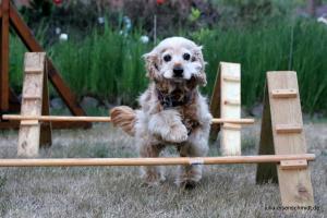 201807 CoT Meyenburg 10