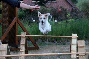 201807 CoT Meyenburg 11