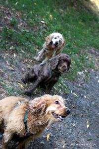 201808 CoT Hildesheim 08