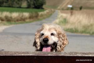 201808 CoT Hildesheim 09