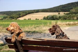 201808 CoT Hildesheim 10