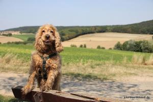 201808 CoT Hildesheim 11