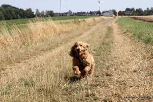 201808 CoT Hildesheim 12