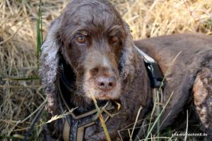 201808 CoT Hildesheim 19