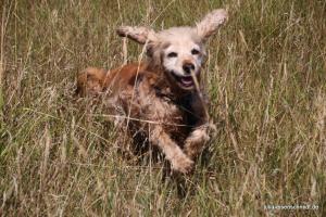 201808 CoT Hildesheim 20