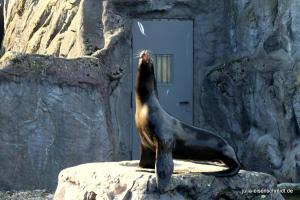 201811 Zoo Gelsenkirchen 08
