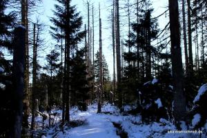 20181227 Brocken 02