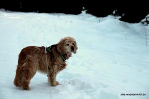 20181227 Brocken 04