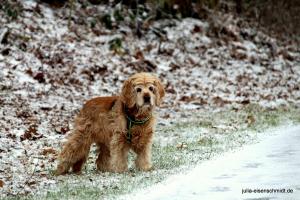 201812 Schnee Baldeneysee 5